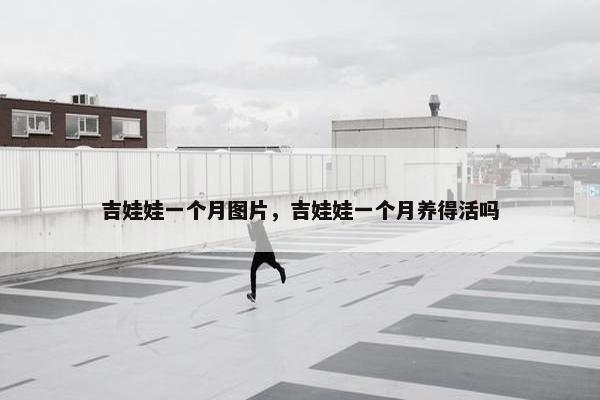 吉娃娃一个月图片，吉娃娃一个月养得活吗