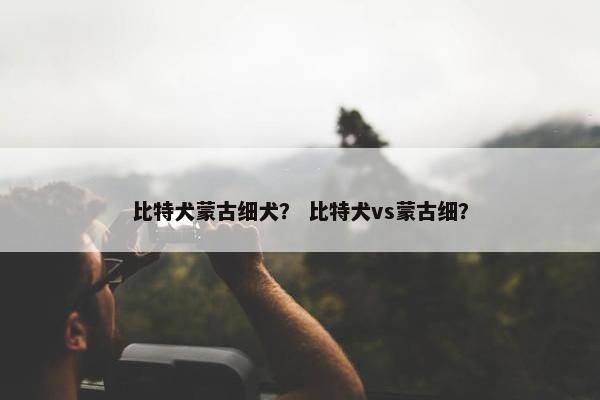 比特犬蒙古细犬？ 比特犬vs蒙古细？