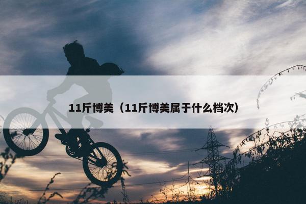 11斤博美（11斤博美属于什么档次）