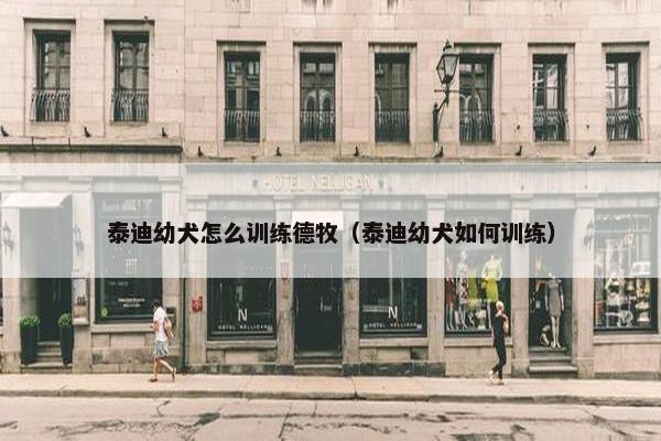 泰迪幼犬怎么训练德牧（泰迪幼犬如何训练）
