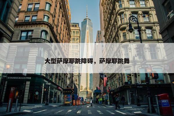 大型萨摩耶跳障碍，萨摩耶跳舞