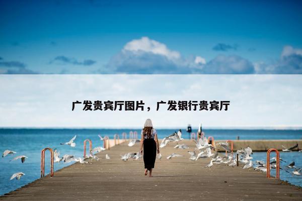 广发贵宾厅图片，广发银行贵宾厅