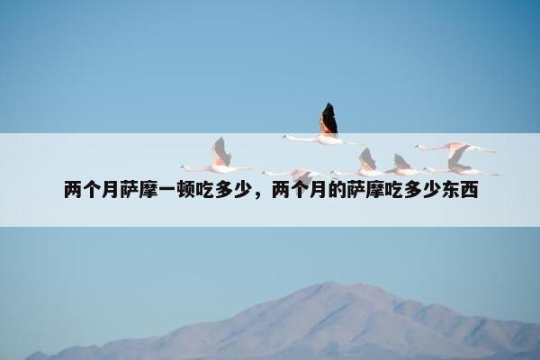 两个月萨摩一顿吃多少，两个月的萨摩吃多少东西