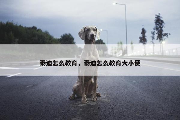 可以 第7页