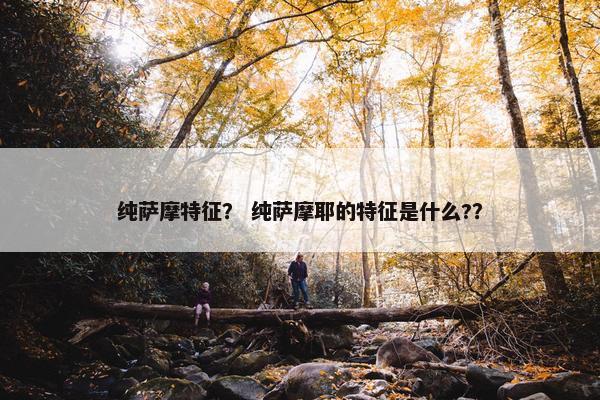 纯萨摩特征？ 纯萨摩耶的特征是什么?？