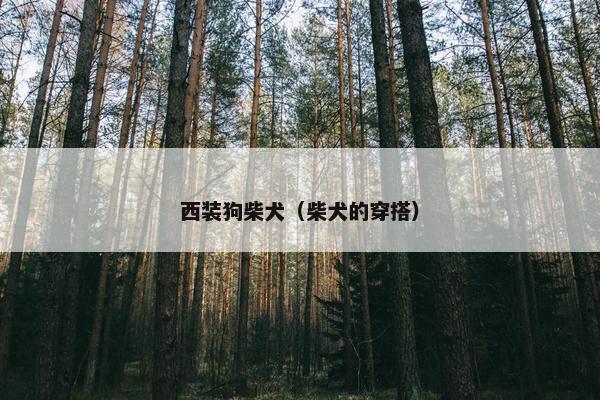 独居