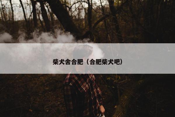 柴犬舍合肥（合肥柴犬吧）