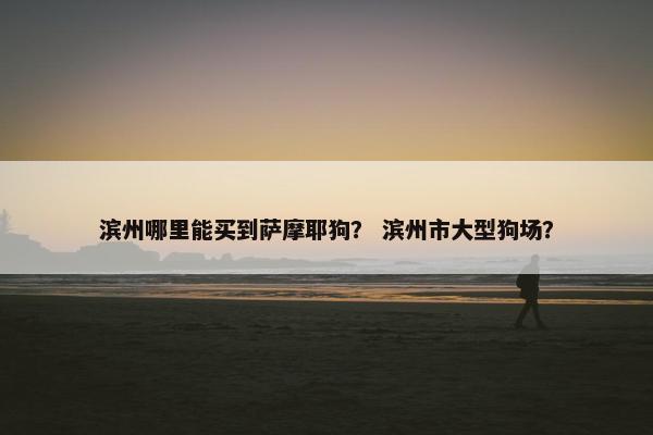 滨州哪里能买到萨摩耶狗？ 滨州市大型狗场？
