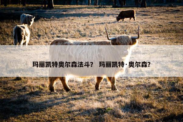 玛丽凯特奥尔森法斗？ 玛丽凯特·奥尔森？