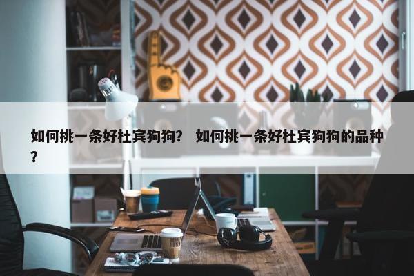 如何挑一条好杜宾狗狗？ 如何挑一条好杜宾狗狗的品种？