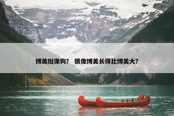 博美挺像狗？ 很像博美长得比博美大？