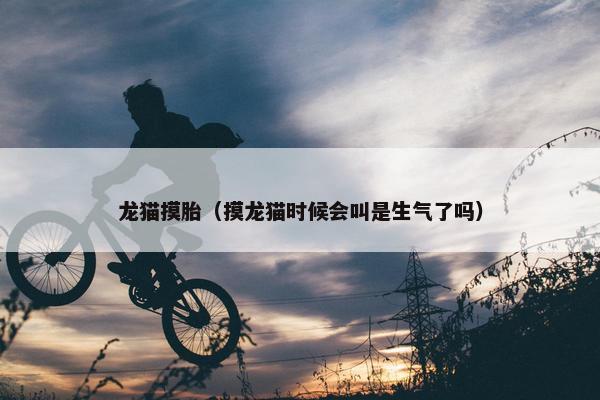 龙猫摸胎（摸龙猫时候会叫是生气了吗）