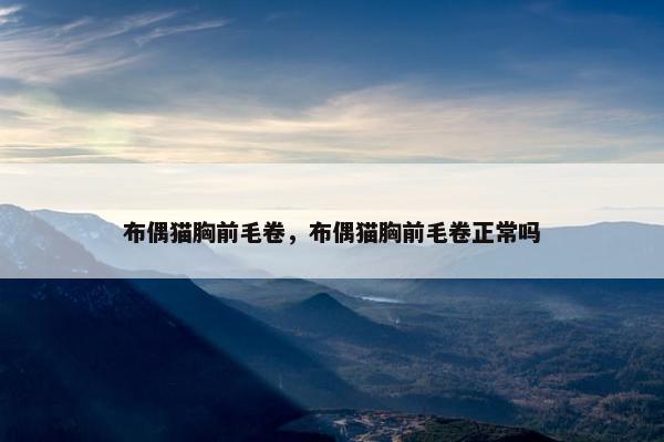 布偶猫胸前毛卷，布偶猫胸前毛卷正常吗