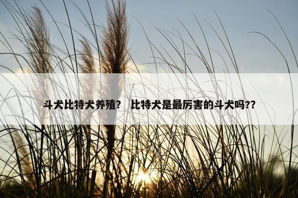 斗犬比特犬养殖？ 比特犬是最厉害的斗犬吗?？