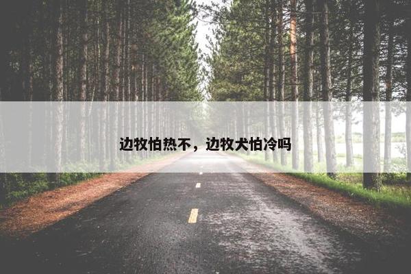 边牧怕热不，边牧犬怕冷吗