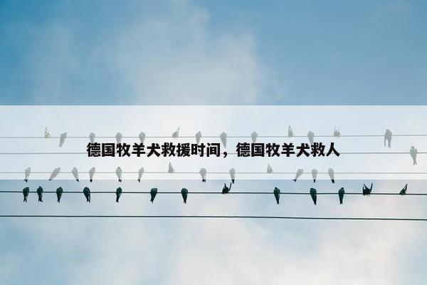 德国牧羊犬救援时间，德国牧羊犬救人