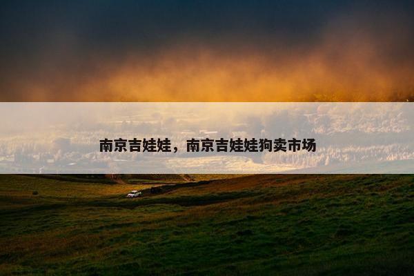南京吉娃娃，南京吉娃娃狗卖市场