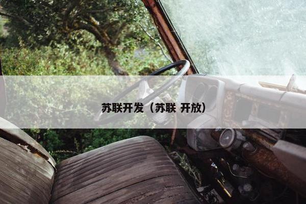 苏联开发（苏联 开放）