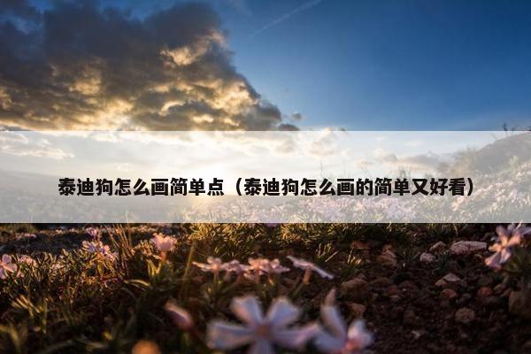 泰迪狗怎么画简单点（泰迪狗怎么画的简单又好看）