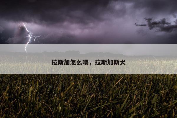 拉斯加怎么喂，拉斯加斯犬
