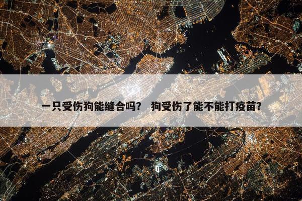 一只受伤狗能缝合吗？ 狗受伤了能不能打疫苗？