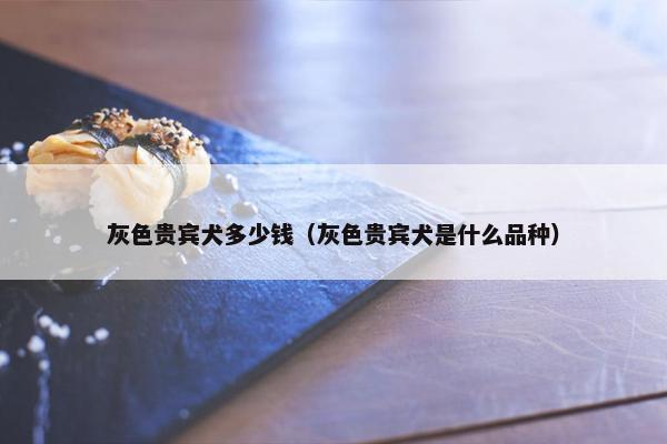 灰色贵宾犬多少钱（灰色贵宾犬是什么品种）