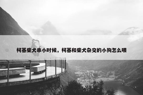 柯基柴犬串小时候，柯基和柴犬杂交的小狗怎么喂