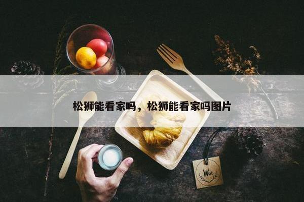 松狮能看家吗，松狮能看家吗图片