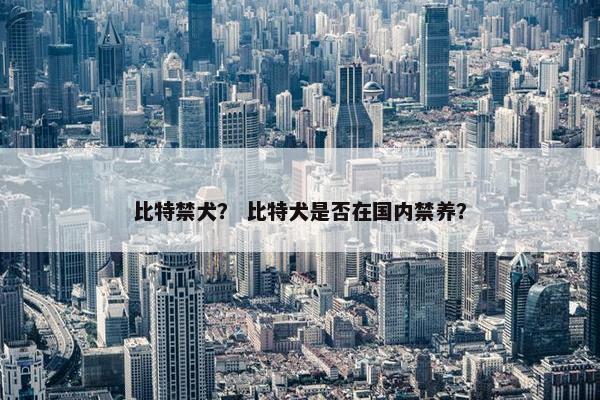 比特禁犬？ 比特犬是否在国内禁养？