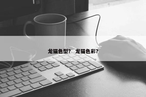 龙猫色型？ 龙猫色彩？