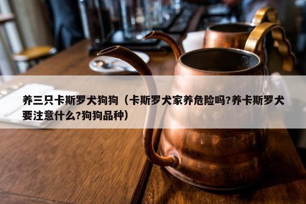 养三只卡斯罗犬狗狗（卡斯罗犬家养危险吗?养卡斯罗犬要注意什么?狗狗品种）