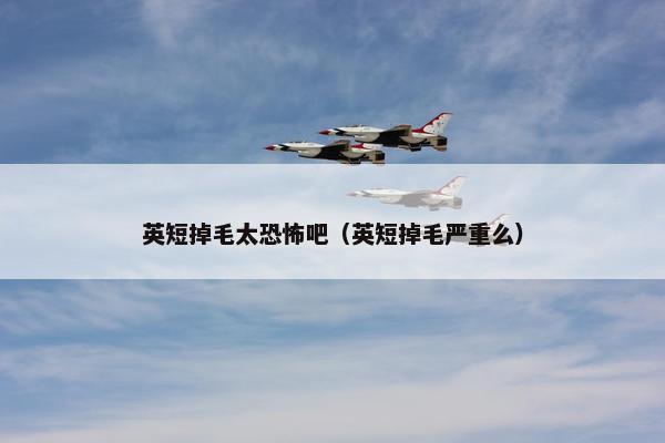弃养