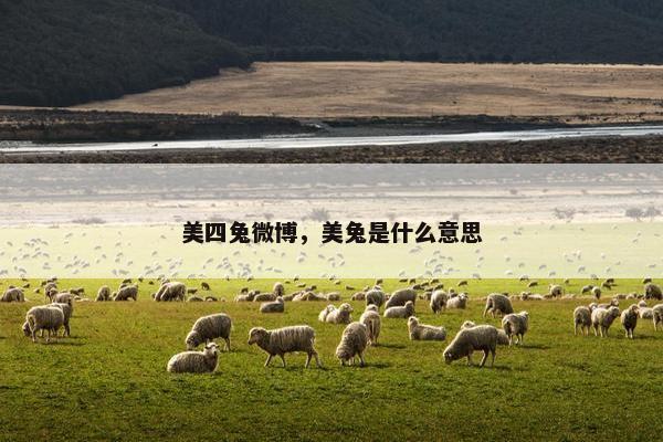 美四兔微博,美兔是什么意思