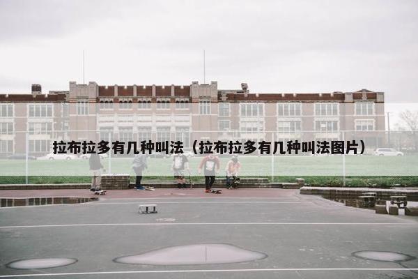 拉布拉多有几种叫法（拉布拉多有几种叫法图片）