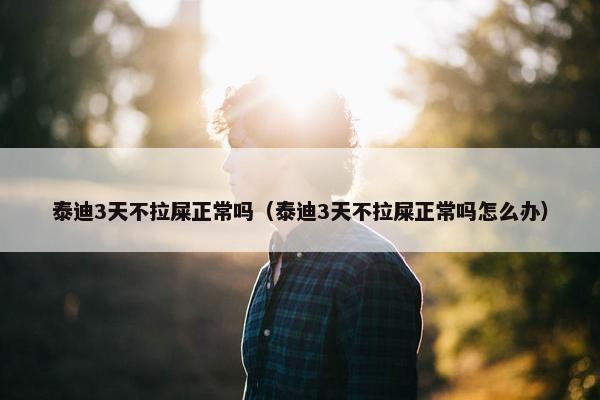 泰迪3天不拉屎正常吗（泰迪3天不拉屎正常吗怎么办）