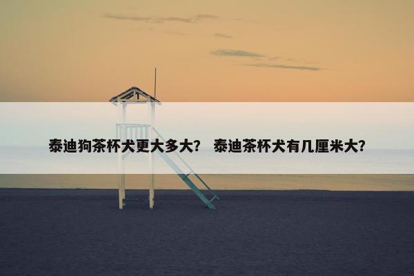 泰迪狗茶杯犬更大多大？ 泰迪茶杯犬有几厘米大？