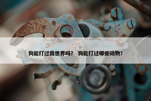 小白