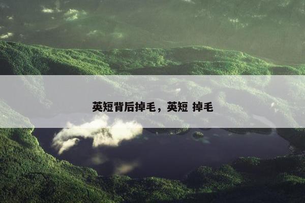 英短背后掉毛，英短 掉毛