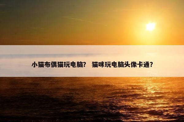 小猫布偶猫玩电脑？ 猫咪玩电脑头像卡通？