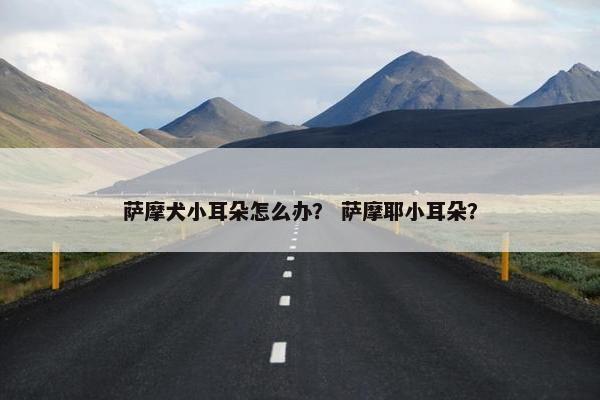 萨摩犬小耳朵怎么办？ 萨摩耶小耳朵？