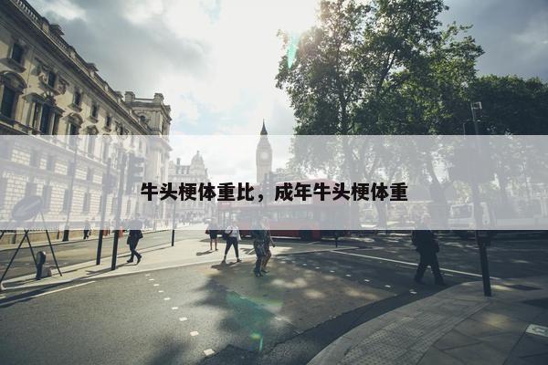 牛头梗体重比，成年牛头梗体重