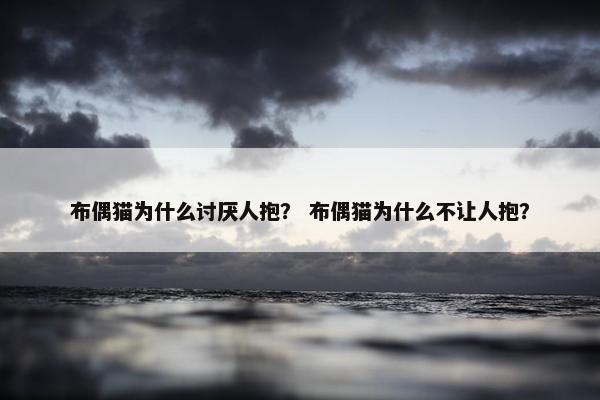 布偶猫为什么讨厌人抱？ 布偶猫为什么不让人抱？