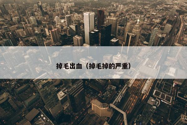 掉毛出血（掉毛掉的严重）