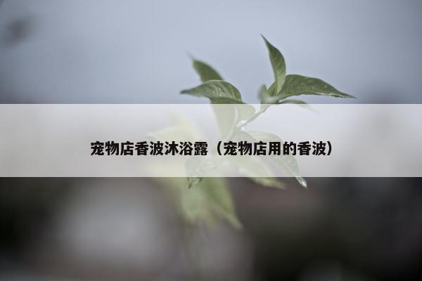 毛发 第7页