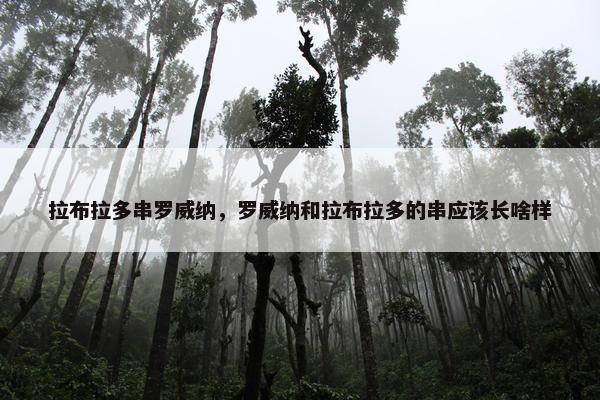 拉布拉多串罗威纳，罗威纳和拉布拉多的串应该长啥样