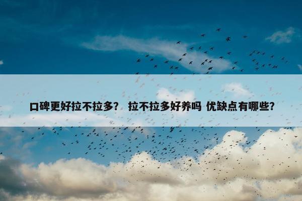 口碑更好拉不拉多？ 拉不拉多好养吗 优缺点有哪些？