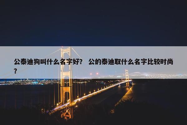 公泰迪狗叫什么名字好？ 公的泰迪取什么名字比较时尚？