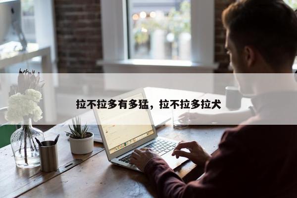 拉不拉多有多猛，拉不拉多拉犬