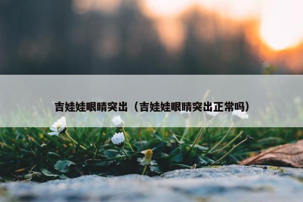 吉娃娃眼睛突出（吉娃娃眼睛突出正常吗）