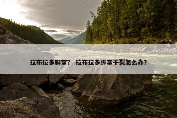 拉布拉多脚掌？ 拉布拉多脚掌干裂怎么办？